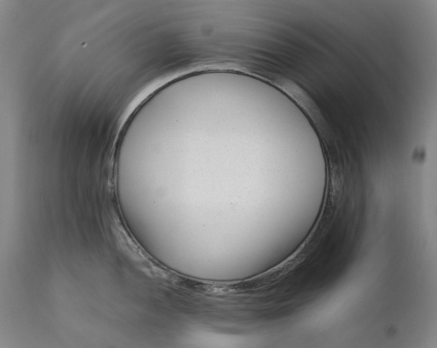 X0000111191052200907151344