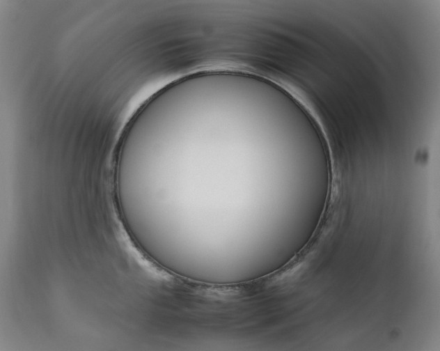 X0000111191053200907151344