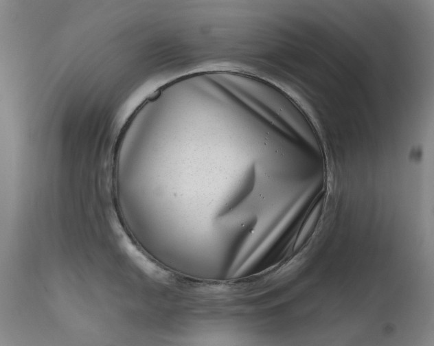 X0000111191054200907151344