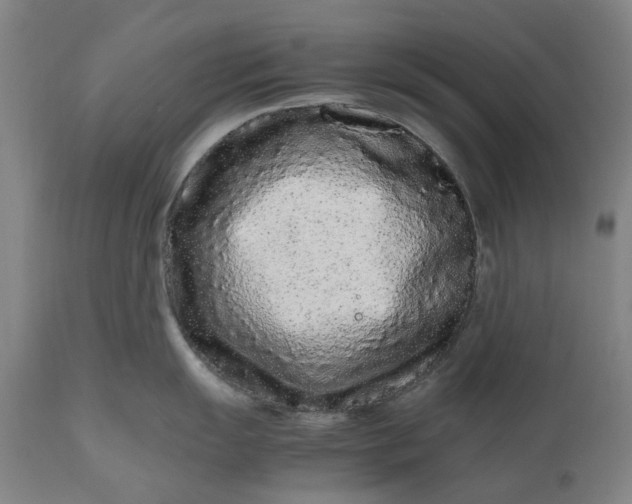 X0000111191055200907151344