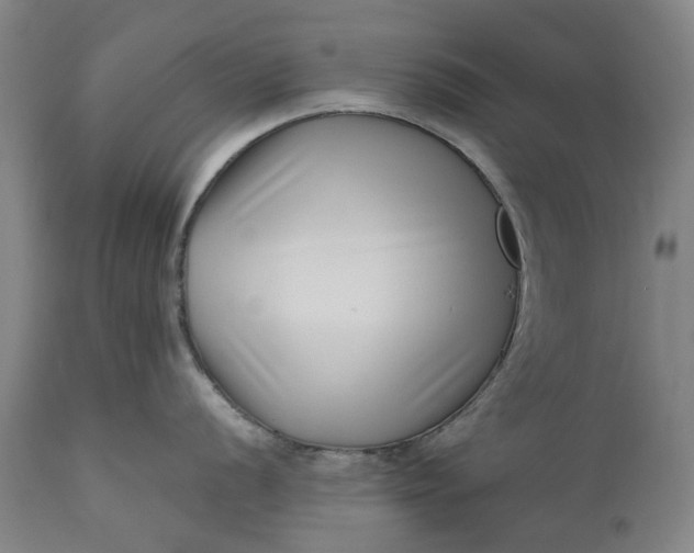 X0000111191056200907151344