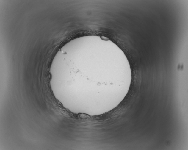 X0000111191057200907151344