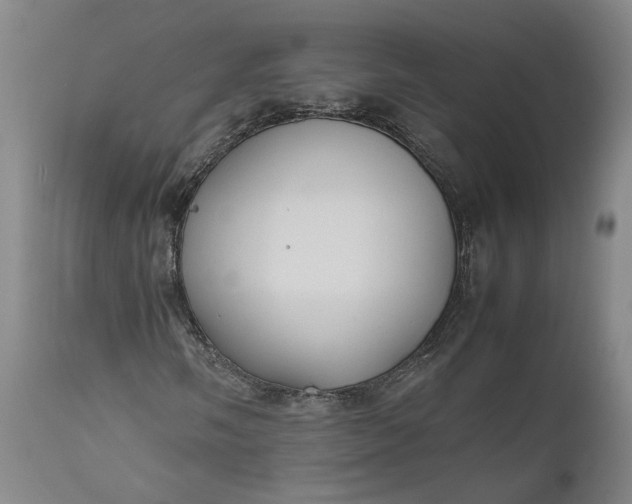 X0000111191058200907151344