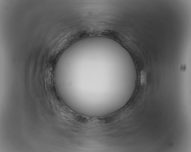 X0000111191059200907151344