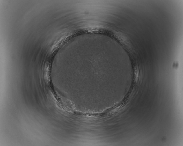 X0000111191060200907151344