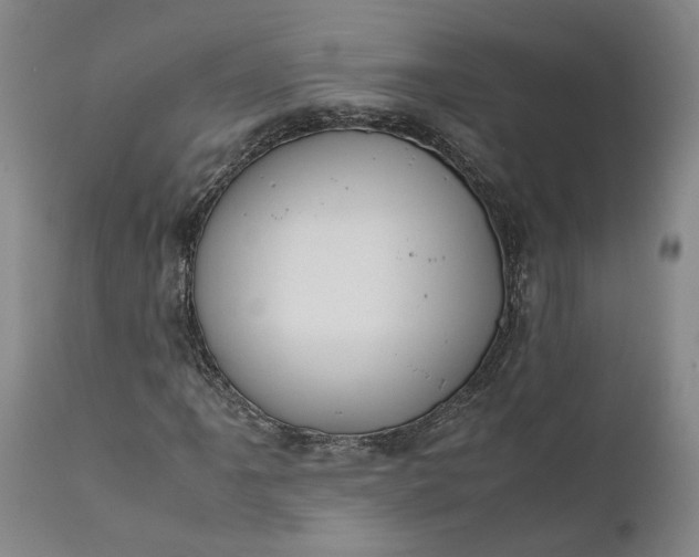 X0000111191061200907151344