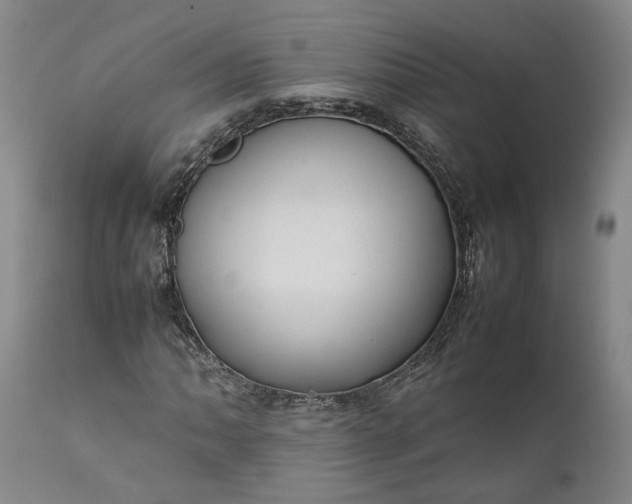 X0000111191062200907151344