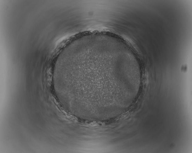 X0000111191063200907151344