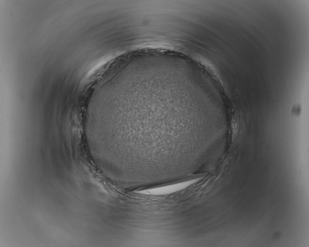 X0000111191064200907151344