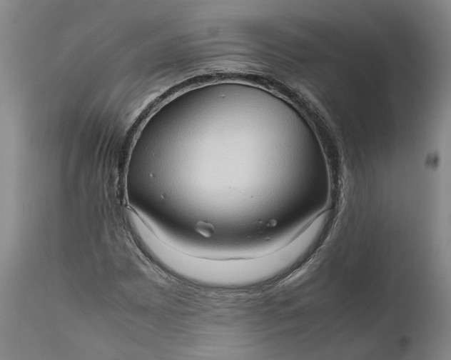 X0000111191065200907151344