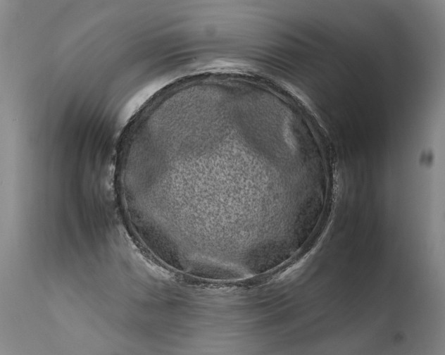 X0000111191066200907151344