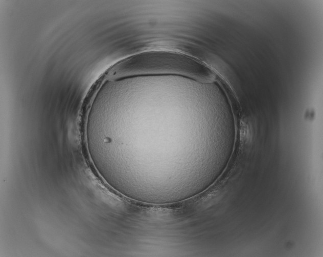 X0000111191068200907151344