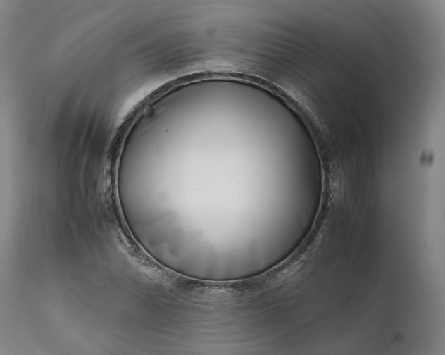 X0000111191070200907151343