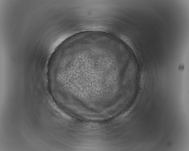 X0000111191071200907151343