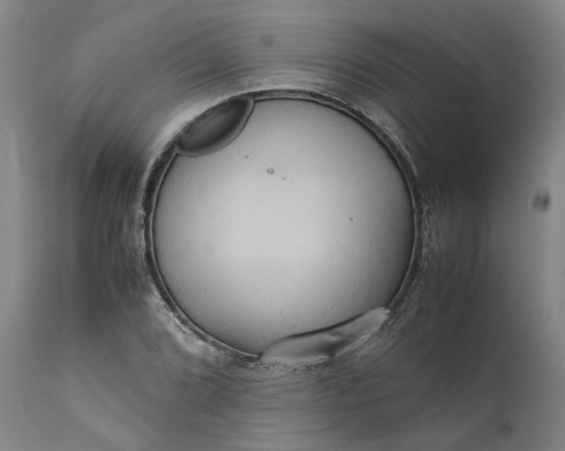 X0000111191072200907151343