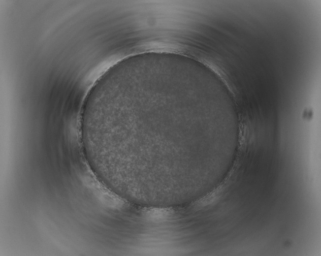 X0000111191074200907151343