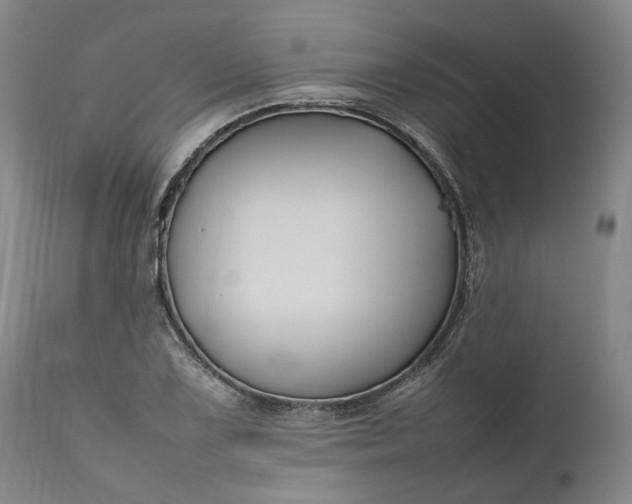 X0000111191075200907151343