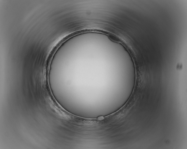 X0000111191076200907151343