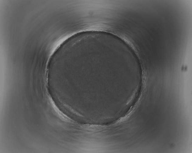 X0000111191077200907151343