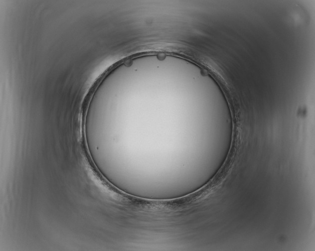 X0000111191079200907151343