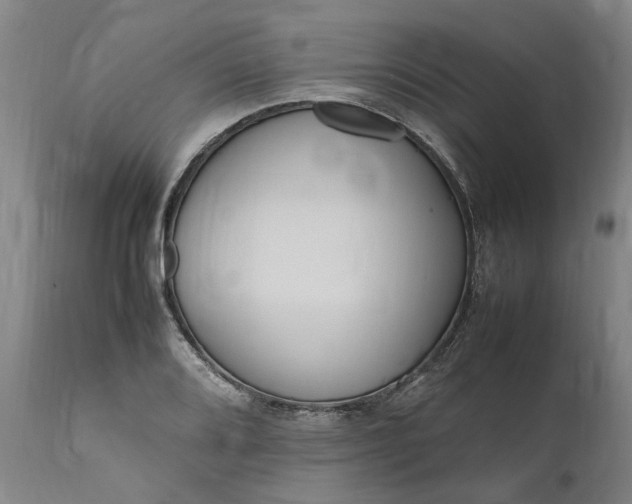 X0000111191080200907151343