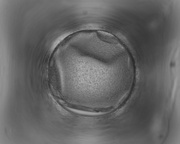 X0000111191081200907151343