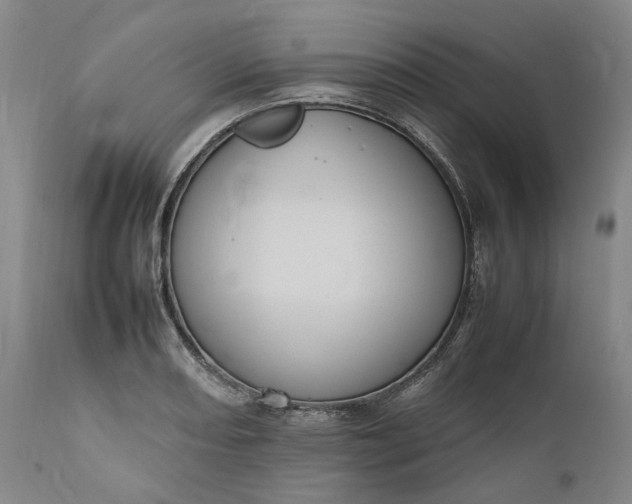 X0000111191082200907151343