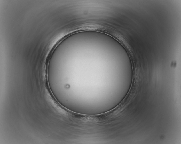 X0000111191083200907151343