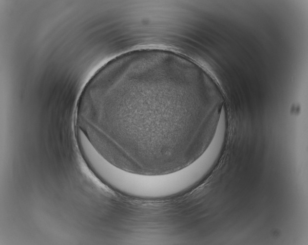 X0000111191084200907151343