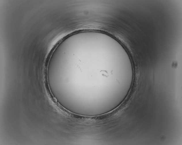 X0000111191085200907151343