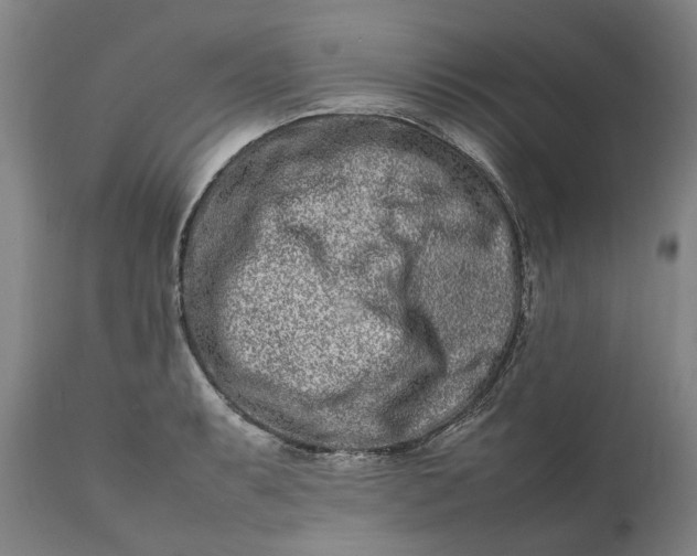 X0000111191087200907151343