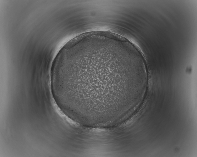 X0000111191088200907151343