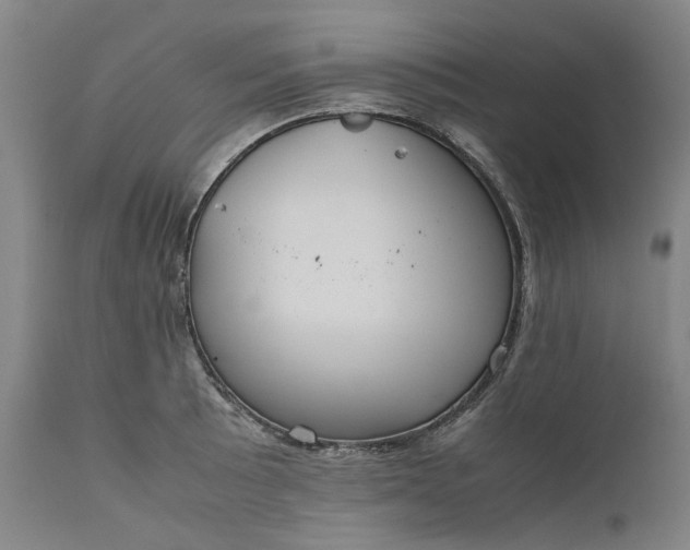 X0000111191089200907151343