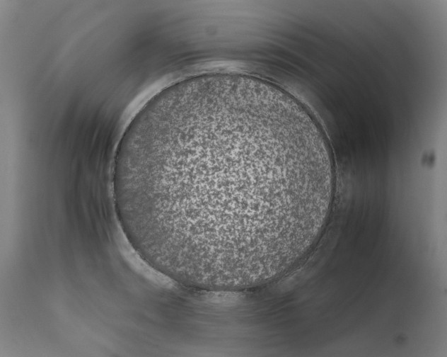 X0000111191090200907151343