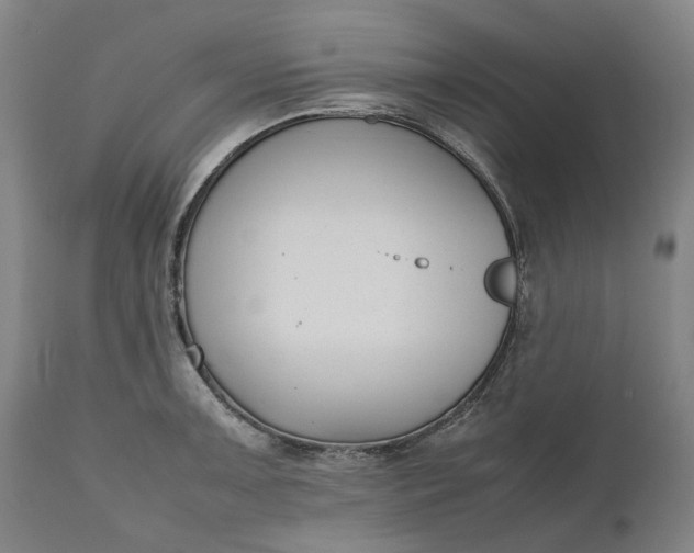 X0000111191091200907151343