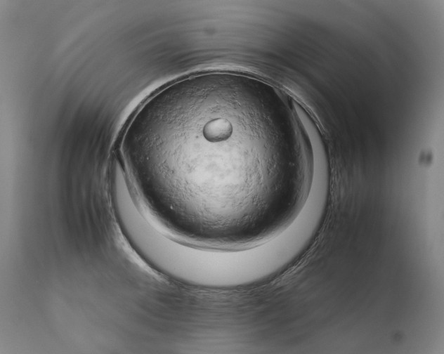 X0000111191092200907151343