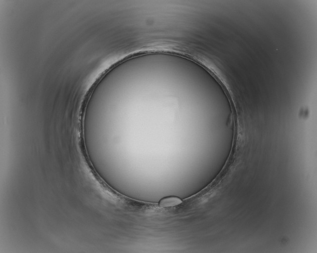 X0000111191093200907151343