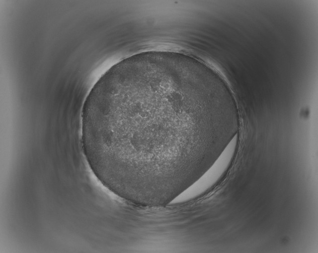 X0000111191095200907151343