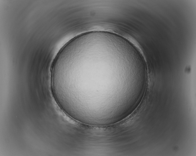 X0000111191096200907151343