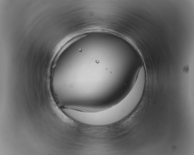 X0000111191098200907151343