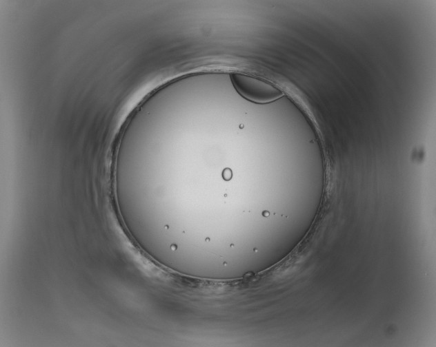 X0000111191099200907151343