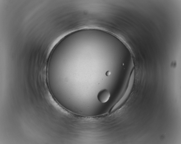 X0000111191100200907151343