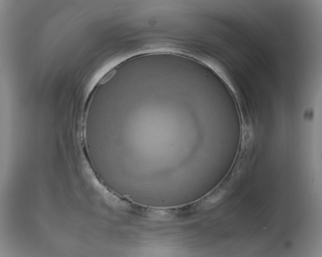 X0000111191101200907151343