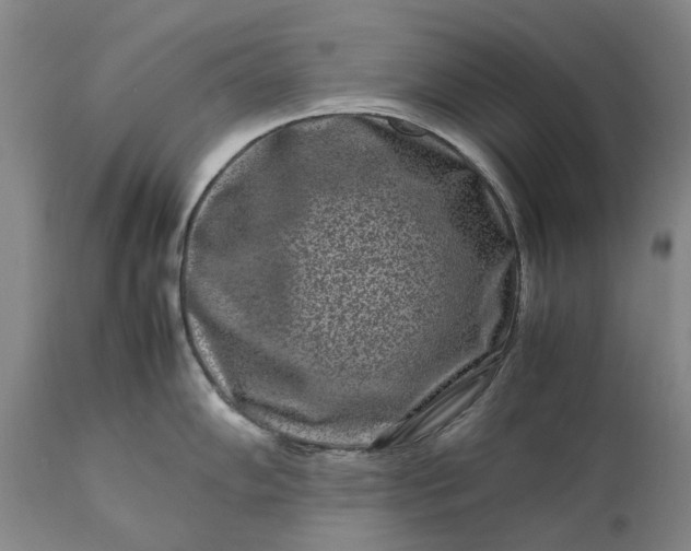 X0000111191102200907151343