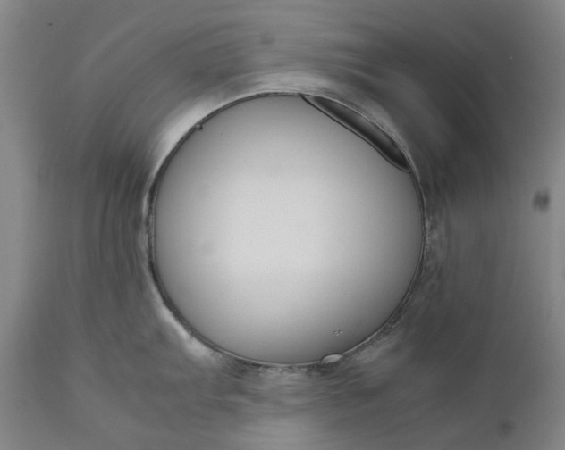 X0000111191103200907151343