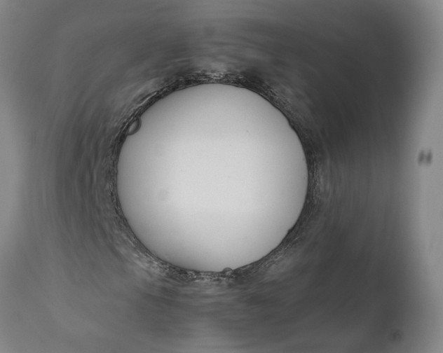 X0000111191105200907151342