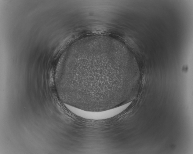 X0000111191106200907151342