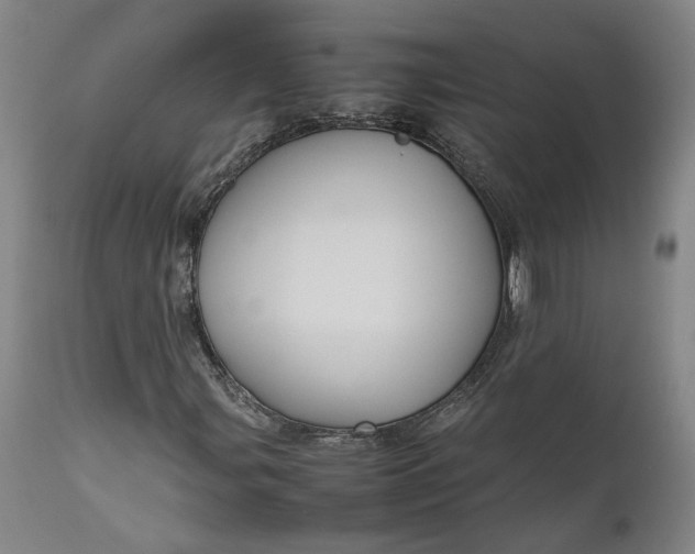 X0000111191107200907151342