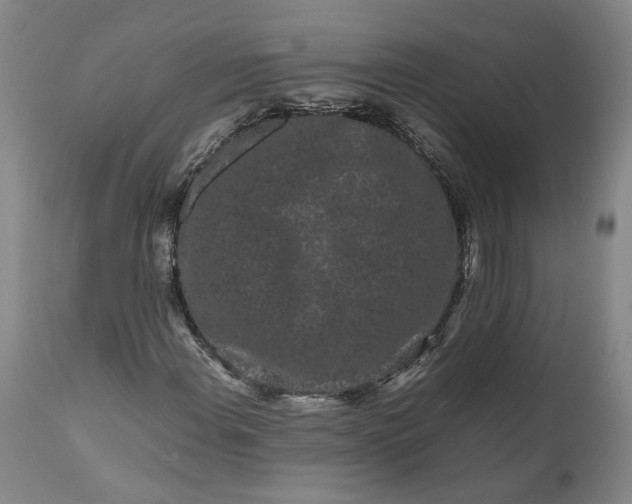 X0000111191108200907151342