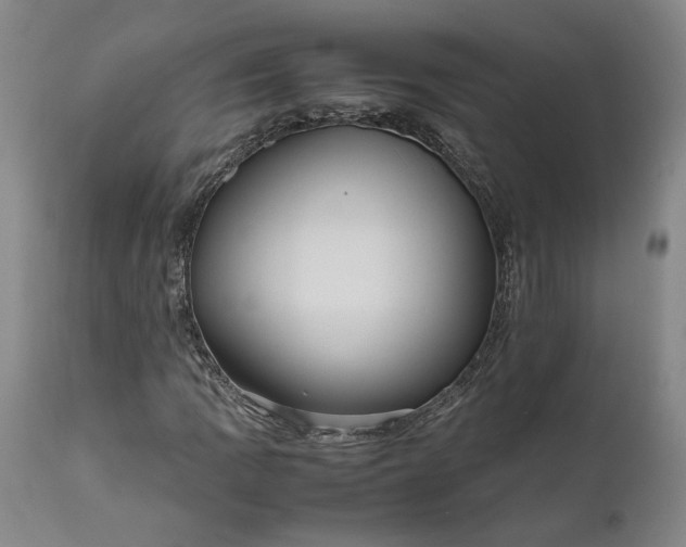 X0000111191109200907151342